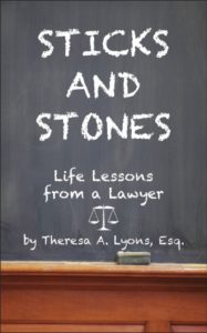 Sticks and Stones Life Lessons from a Lawyer