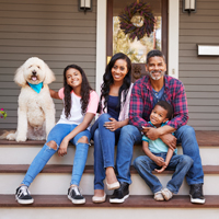 Pets and Divorce