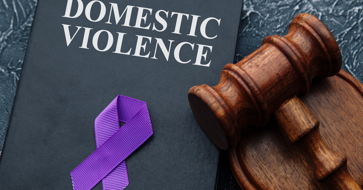 domestic violence book
