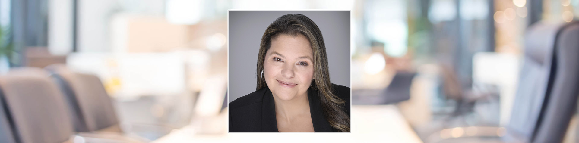 Lara DiFabrizio Attorney Banner